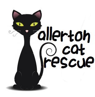 AllertonCatResc's profile picture. Allerton Cat Rescue is a non profit sanctuary for felines either abandoned, mistreated or otherwise between homes. All are looking for a warm, loving home.