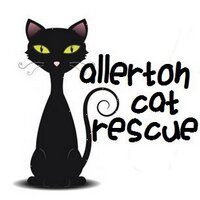 Allerton Cat Rescue (@allertoncatresc) 's Twitter Profile