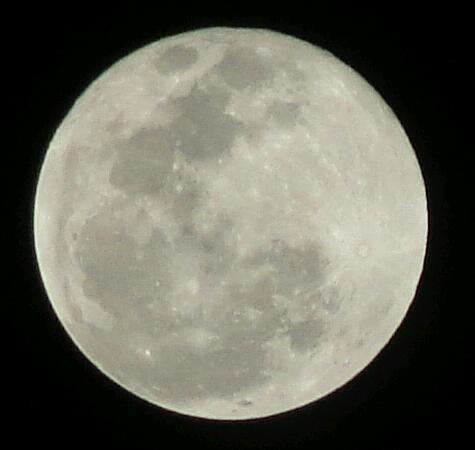 Rodraigosupremo's profile picture. Estudiante de Física y Matemáticas.