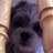 inkrdable1's profile image