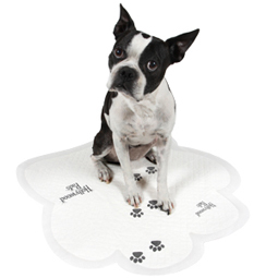 HollywoodPads's profile picture. Hollywood Pads are unique PAW shaped pee pads for dogs, perfect for puppy potty training.