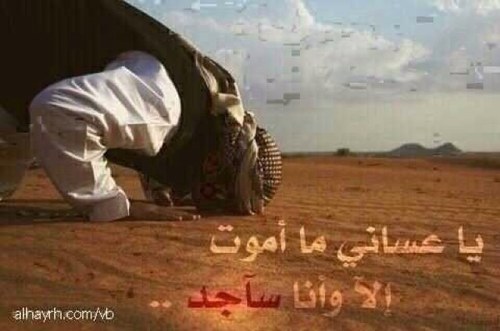 MohamedQ2ex's profile picture. سبحان الله وبحمده سبحان الله العظيم