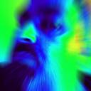 Danny Hope - @DannyHope24 - Twitter