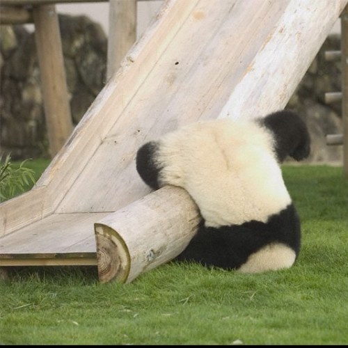 natsuki055's profile picture. 大学生です。よろしくお願いします。