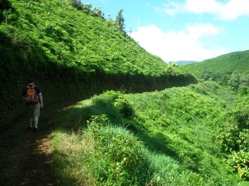 mikesara22's profile picture. 