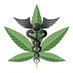 The Stoner Network (@stonernetwork) Twitter profile photo