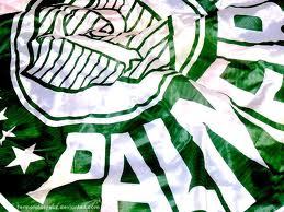 Vai Palmeiras porque minha vida e vs ! 

Dono : @TEUZINHOGOMES seg lá ?