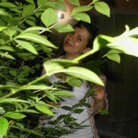 Gulsah KURTULMUS (@krtlmsgulsah) 's Twitter Profile