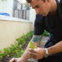 Kali Dining (@kalidining) 's Twitter Profile