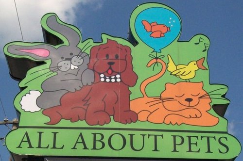 We are a family owned pet store selling small animals, kittens, and many more. We also provide full service grooming and nail trimming.