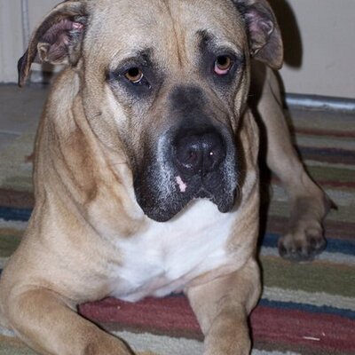 Profile Picture of Benson Dean Barrett (@BensonDean) on Twitter