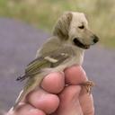 Jessica Munroe - @tmitt3r - Twitter