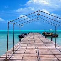 carmenm_rosario's profile picture. 