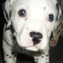 Barry Sims - @barrysims10 - Twitter