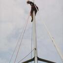 Alison Rodger - @alirodger - Twitter