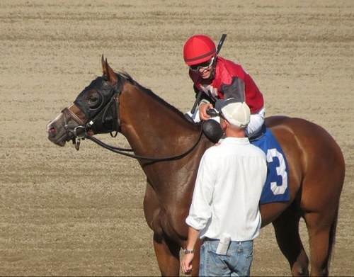 TShawRacing's profile picture. Thoroughbred racehorse trainer/owner/breeder. Racing year round in the Mid Atlantic. Summers at beautiful Monmouth Park. My heart is in Listowel IRE 🇮🇪