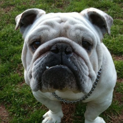 HoldingHolding's profile picture. 