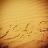 ‏‏‏اخصائي تمريض