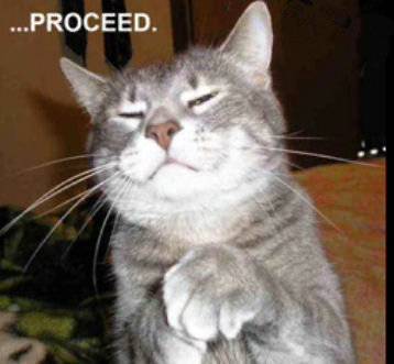 Kitty_Wisdom's profile picture. Eye am wise kitteh. Eye will help u wit lifez hard problemz. Seek meh 4 guidants. Meow.