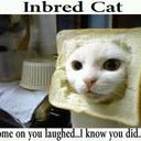 Mel Burke - @Burkacino - Twitter