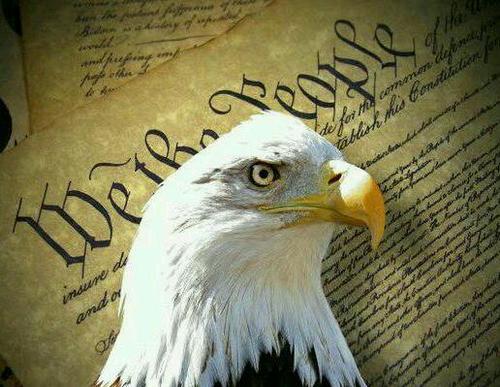 FiatlvrSteve's profile picture. 