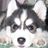 nickcheng7's profile image