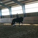 Manuela Engelhardt - @Friesenwarft - Twitter