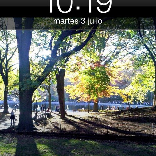 coraliaf's profile picture. 