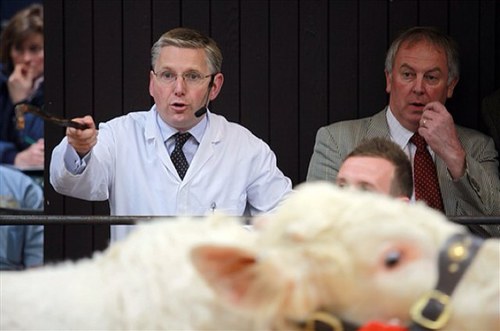 Managing Director and Auctioneer with Harrison & Hetherington