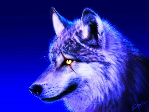 wolfsparki's profile picture. always chillin' out