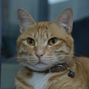 BarryNg - @BarryNg1988 - Twitter