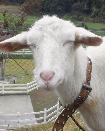 baby4066's profile picture. 