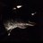 HosteriaLaBota's profile image