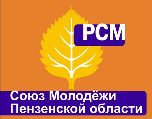 Общественная организация Союз Молодежи Пензенской области, территориальная организация Российского Союза Молодежи