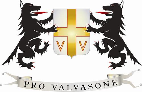 ProValvasone's profile picture. 