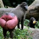 Wayne Good - @Wayne_Good - Twitter