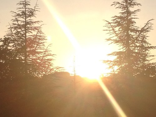 Babe19678's profile picture. follow ill follow back unfollow and ill unfollow back