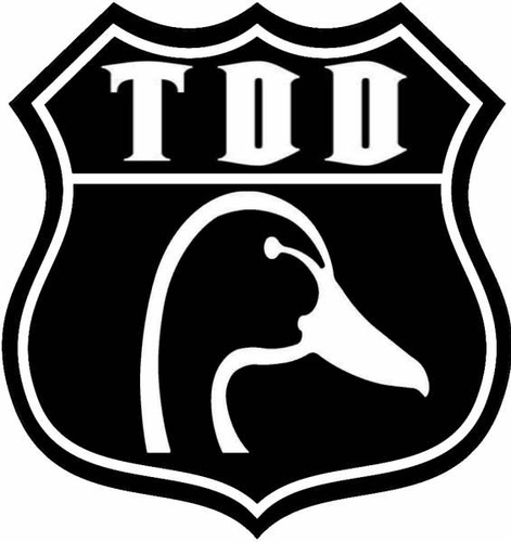 Gitarist en zanger van The Diesel Ducks, speler van Blue Velvet, man van Elise, vader van Willem en Jolijn, dichter, denker, leraar, arbeidsdeskundige, etc. ...