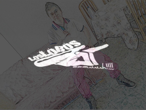los lobos inc realg4life y alqaedas
