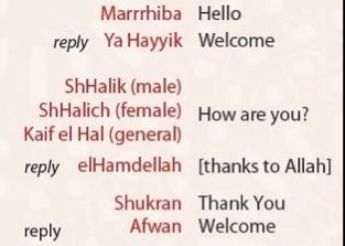 LearnEmarati's profile picture. a course that teaches non-arabic speaking adults how to speak Arabic in the Emarati dialect in 9 weeks. The course also includes cultural information.