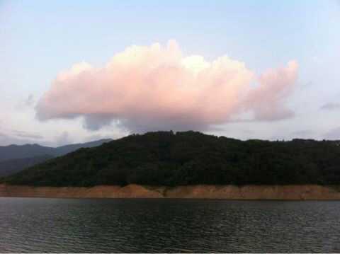 일산. 취미/바둑7단.(카드.마작) 게으름. 제약회사퇴직.건설시행부도.현재식당운영.욱하는성격때문에되는일없음.산전수전 다겪은 오십대초반.