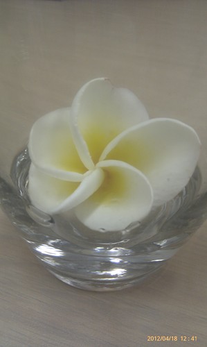 tezarue's profile picture. 