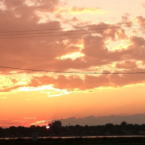 bswale33's profile picture. 