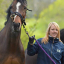 marisa reid - @scarletpenny - Twitter