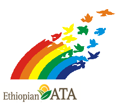 The Ethiopian Agricultural Transformation Agency's COOP Team