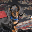 Missy Rice - @ricemissy24 - Twitter