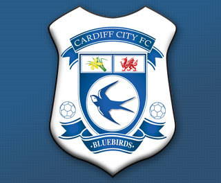 Cardiff City fanatic - Llantwit Major season ticket holder