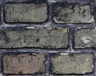 ForumBlack's profile picture. Get your free Blog today!