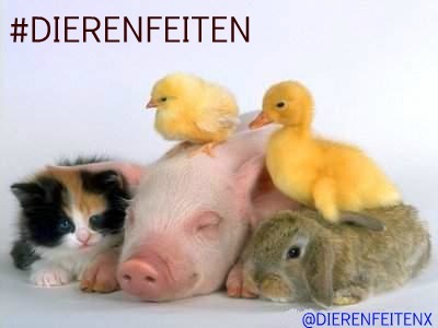 alles over dieren! Follow ons en krijg een followback!