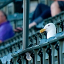 Mark Haffner - @mbh4851 - Twitter